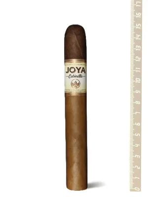 Joya De Nicaragua