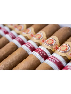 Сигары Ramon Allones Hermitage 2017