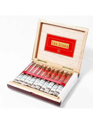 Rocky Patel