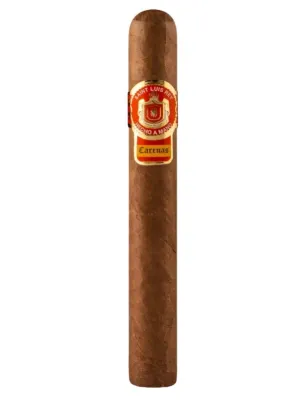 Сигары Saint Luis Rey Carenas Toro