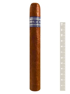 Сигары Horacio Pasion 52