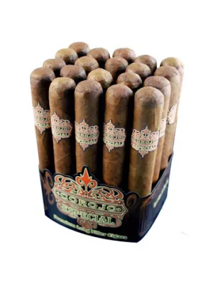Rocky Patel
