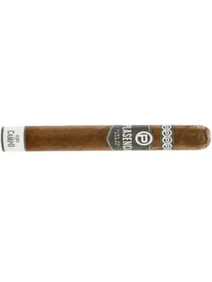 Сигары Plasenсia Alma del Campo Guajiro Robusto