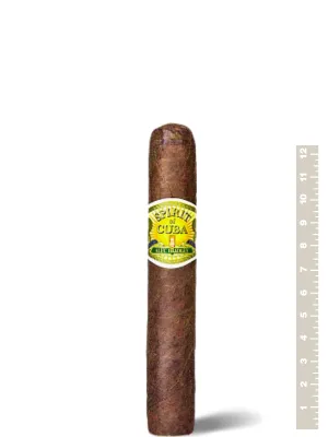 Alec Bradley