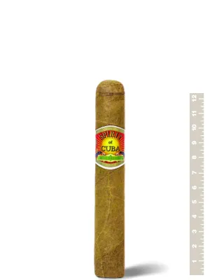 Alec Bradley