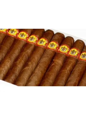 El Rey Del Mundo