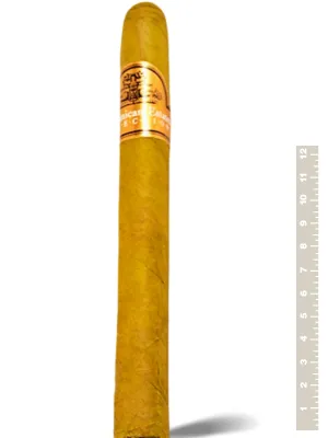 Dominican Estates
