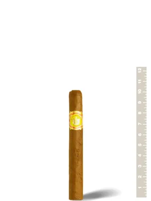 El Rey Del Mundo