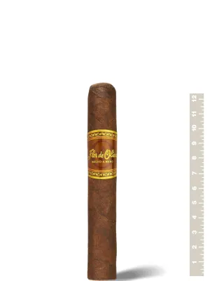 Oliva