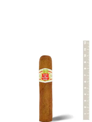 Сигары Hoyo de Monterrey Petit Robusto