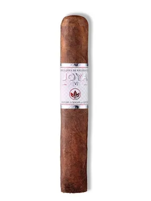 Joya De Nicaragua