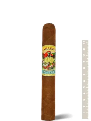 Сигары Paradiso Quintessence Robusto