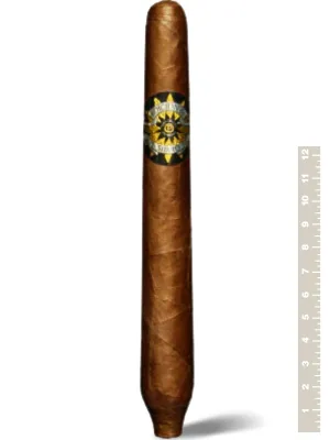 Сигары Perdomo Edicion de Silvio Salomon Maduro
