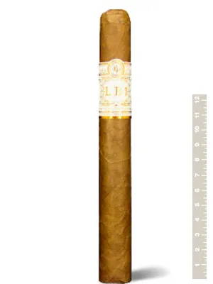 Rocky Patel