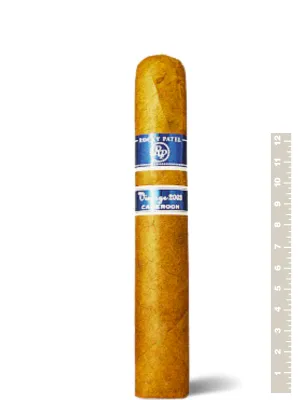 Сигары Rocky Patel Vintage 2003 Cameroon Six by Sixty