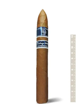 Rocky Patel