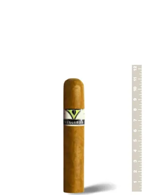 Vegueros